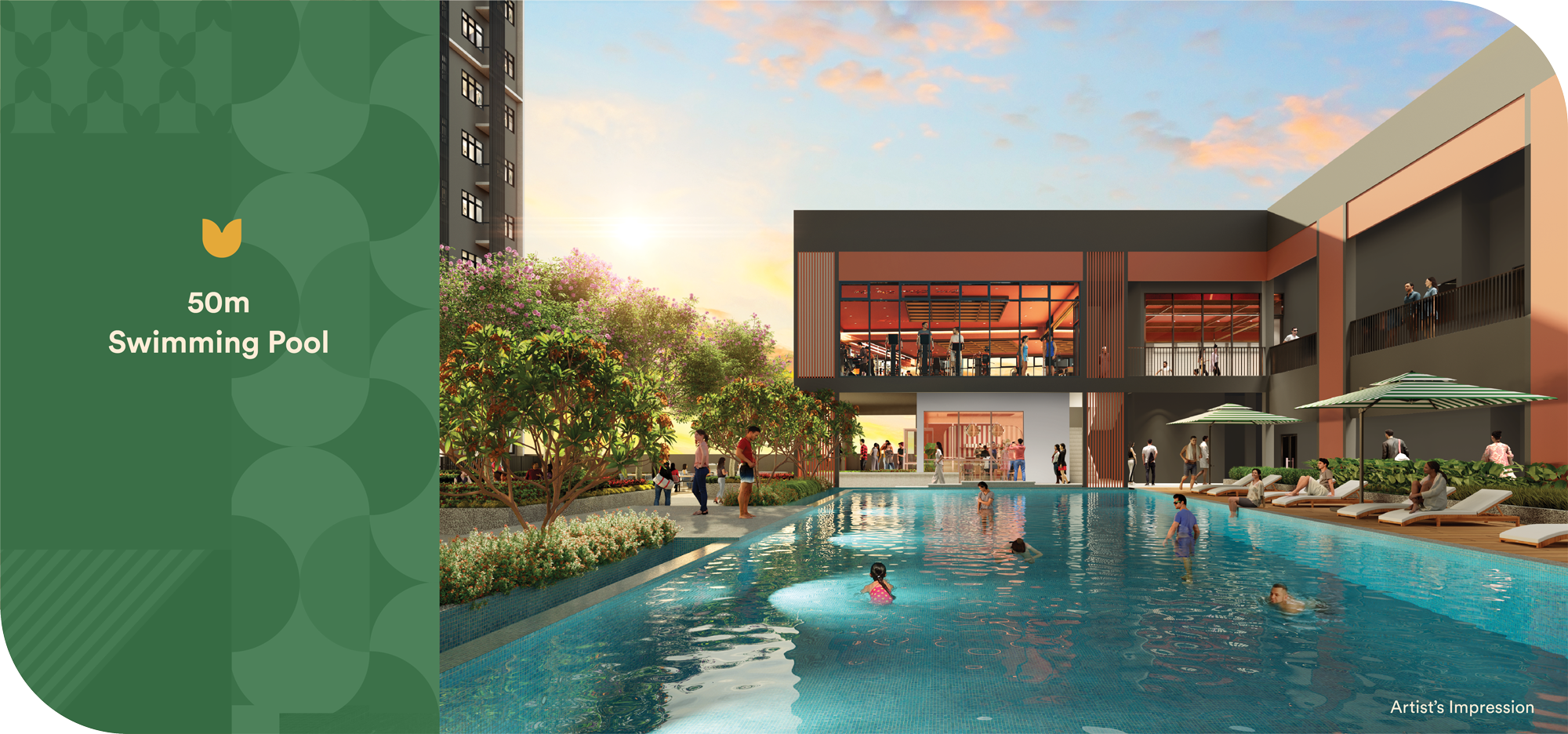 50m-swimmingpool-desktop